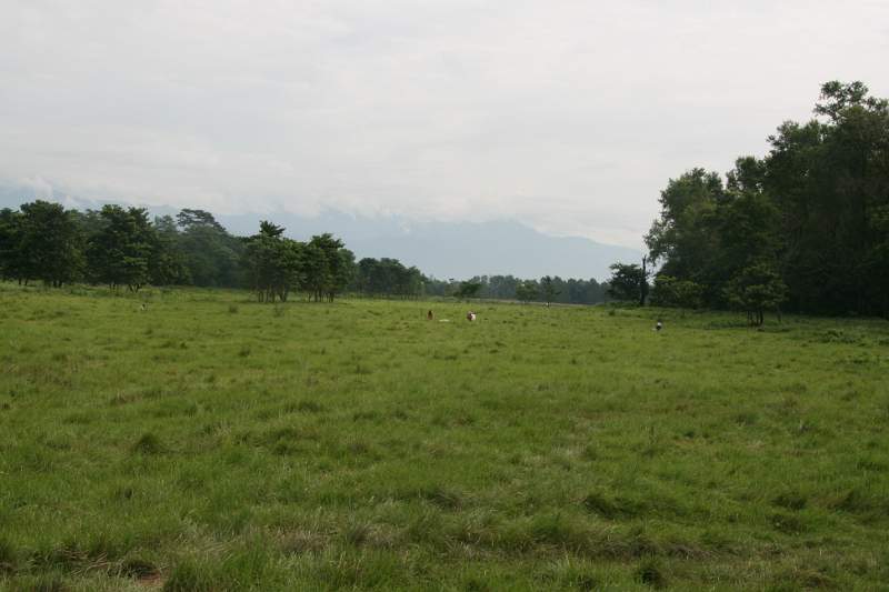 India & Nepal 2011 - 0550